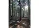 listing-thumbnails