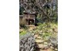 listing-thumbnails