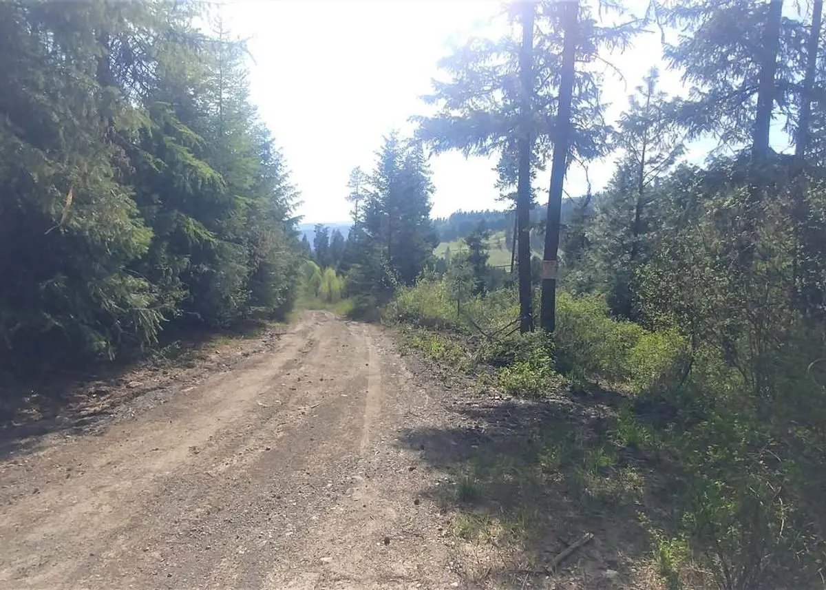 property-listing