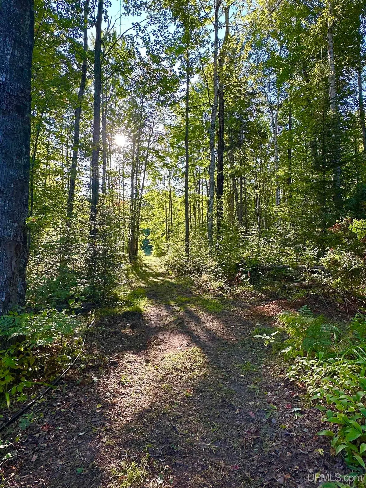 property-listing