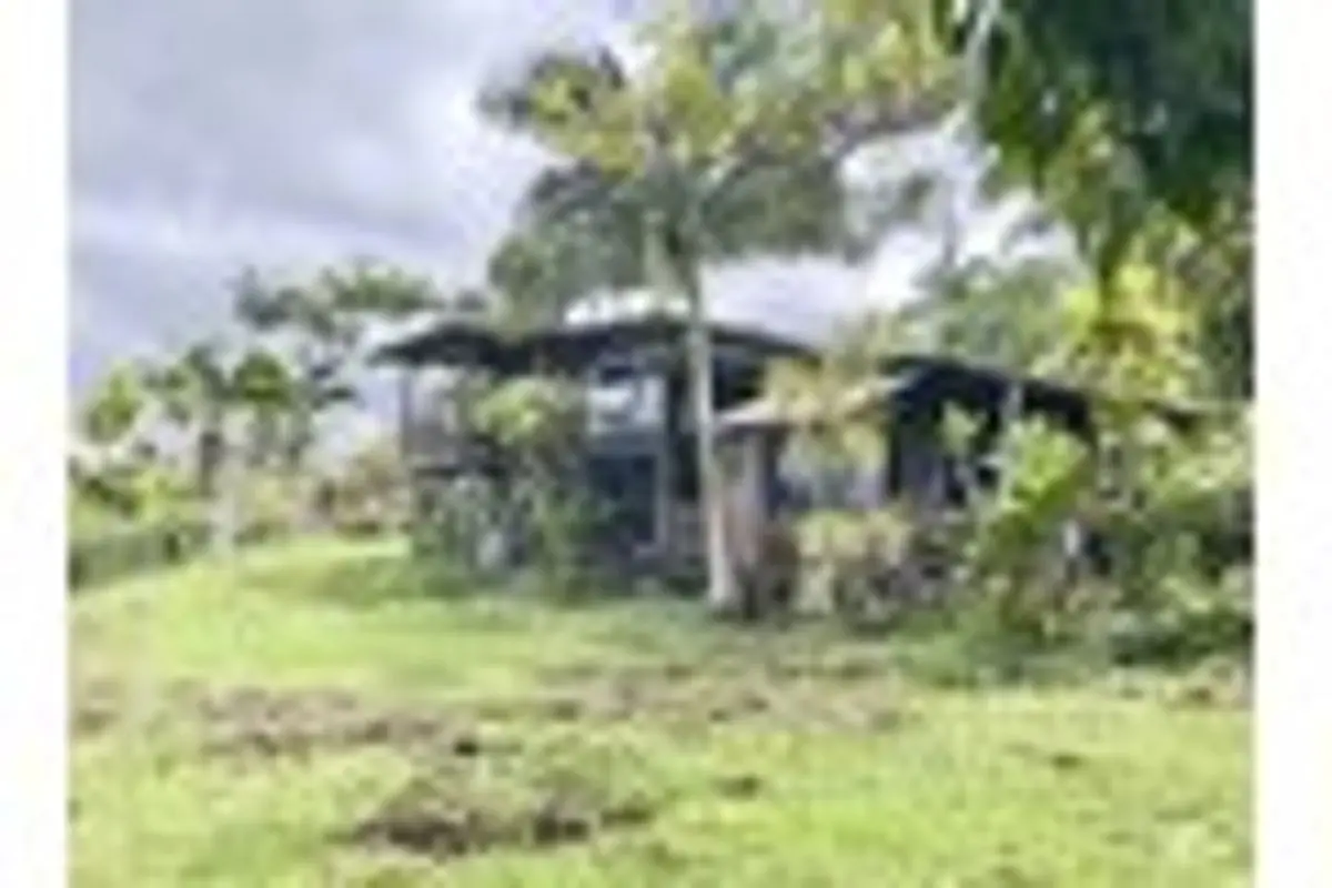 property-listing