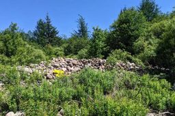 listing-thumbnails