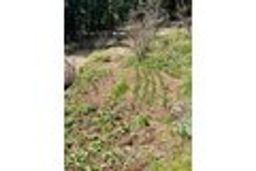 listing-thumbnails