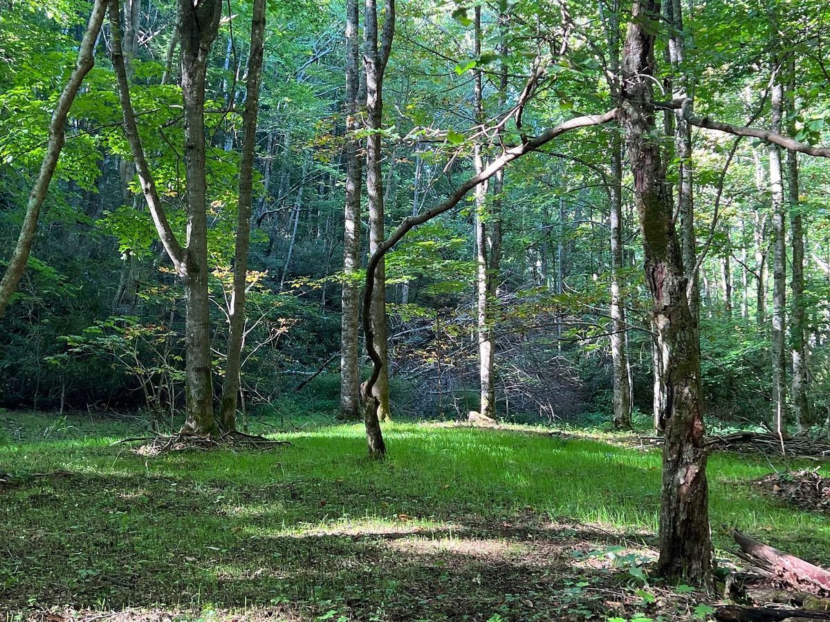 property-listing
