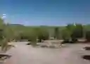 Photo 6 of green home in Seligman, Arizona