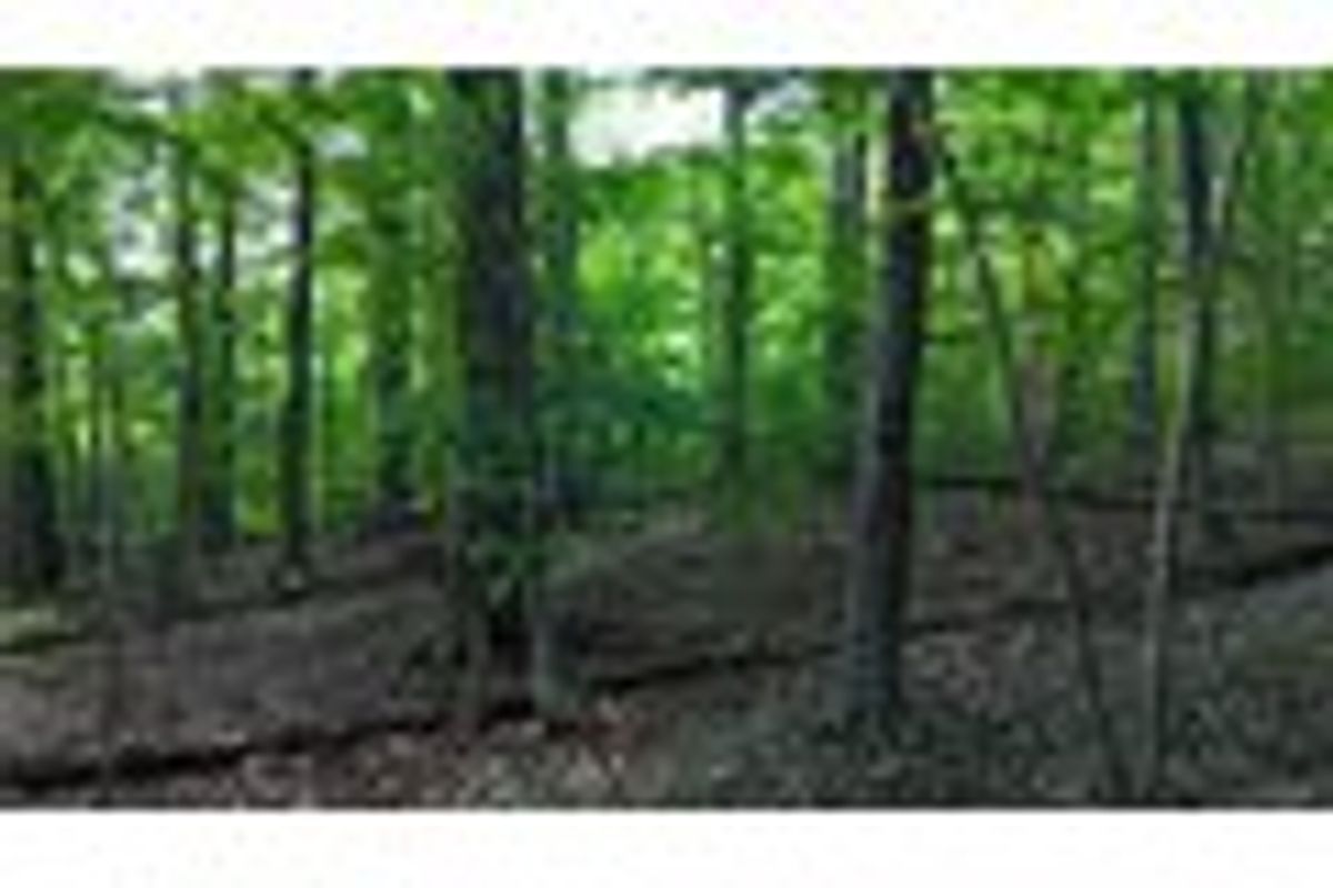 property-listing