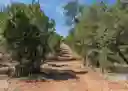 listing-thumbnails
