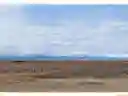 listing-thumbnails