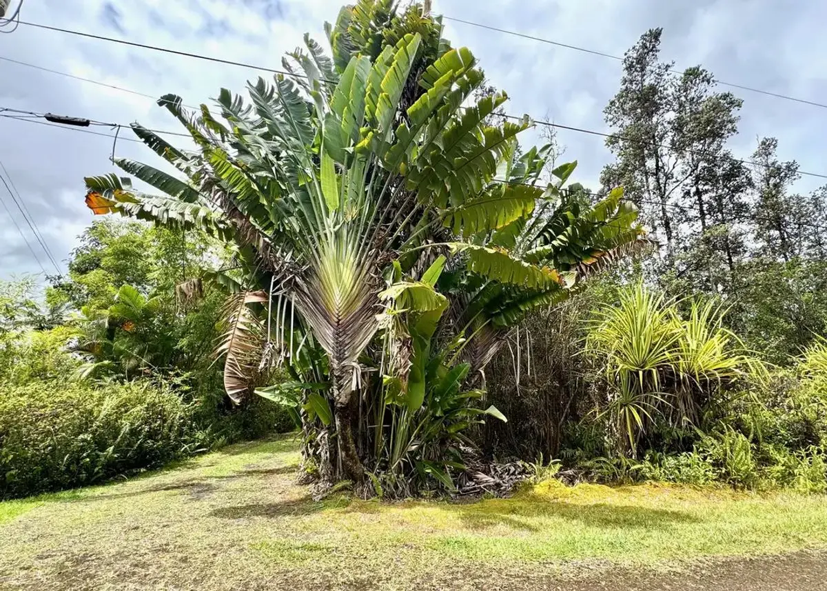 property-listing