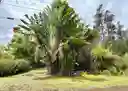 listing-thumbnails