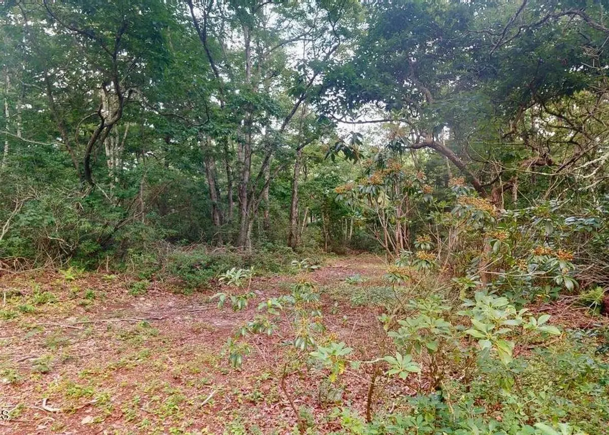property-listing