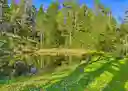 listing-thumbnails