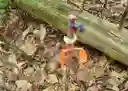 listing-thumbnails