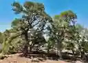 listing-thumbnails