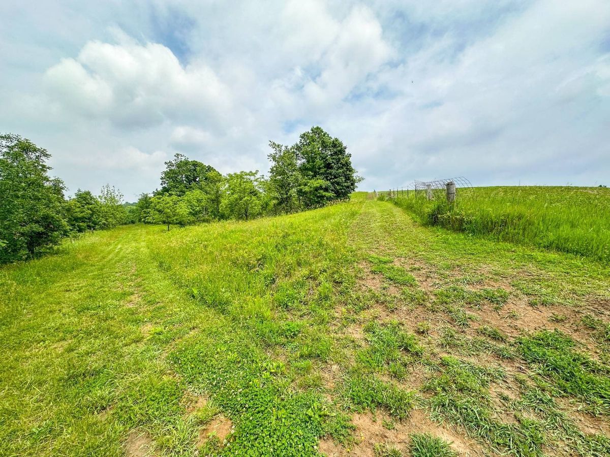 property-listing