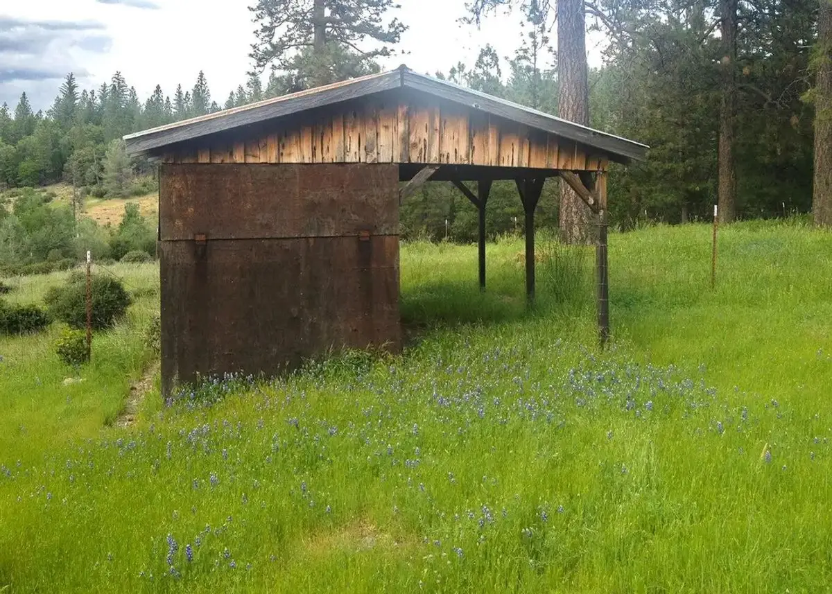 Photo 2 of green home in Whitmore, California