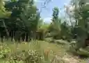 listing-thumbnails