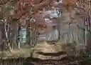 listing-thumbnails