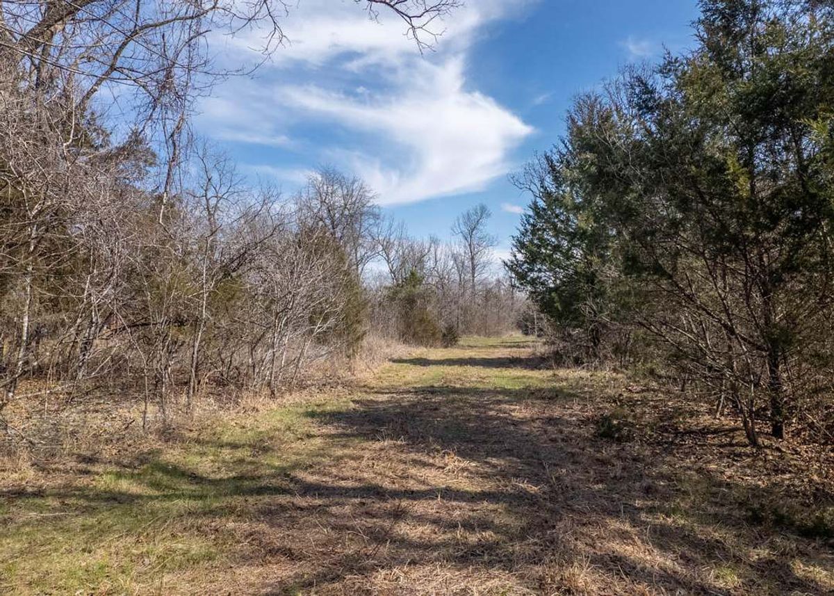 property-listing