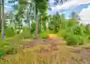 listing-thumbnails