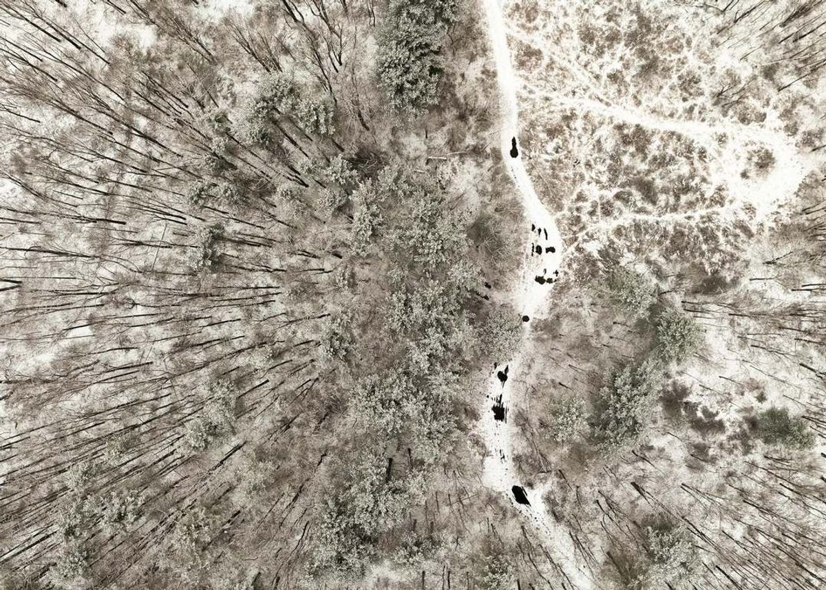 Green Homes for Sale - Norton, Virginia Green Home