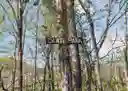listing-thumbnails