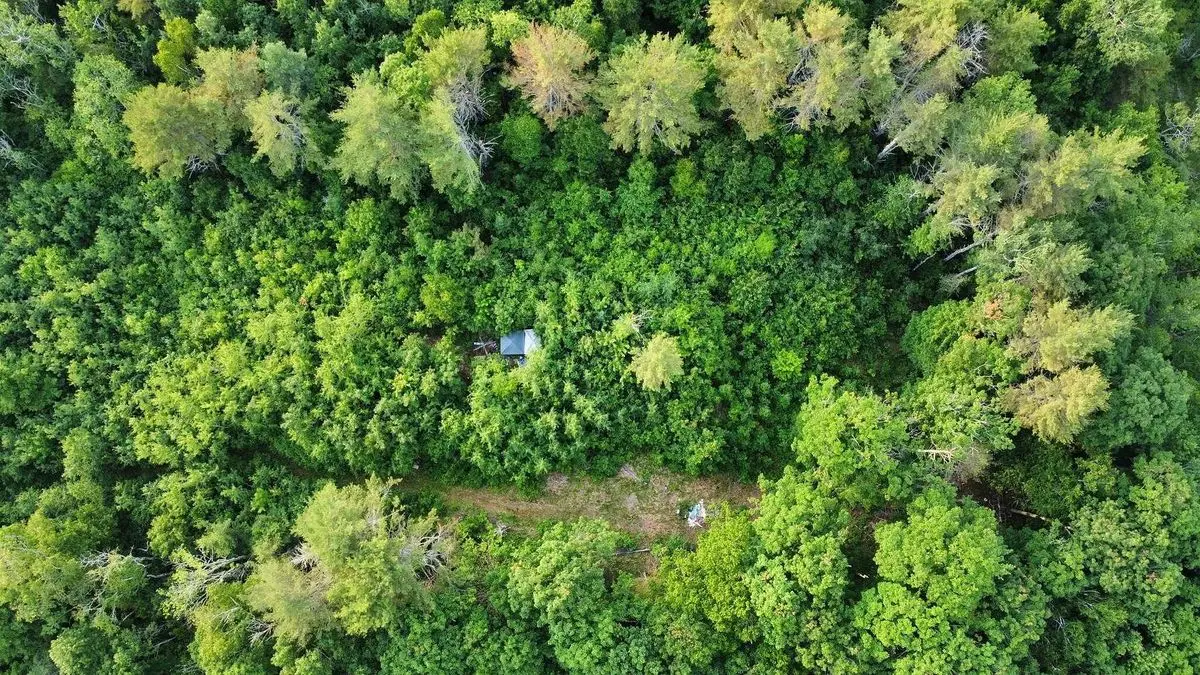 property-listing