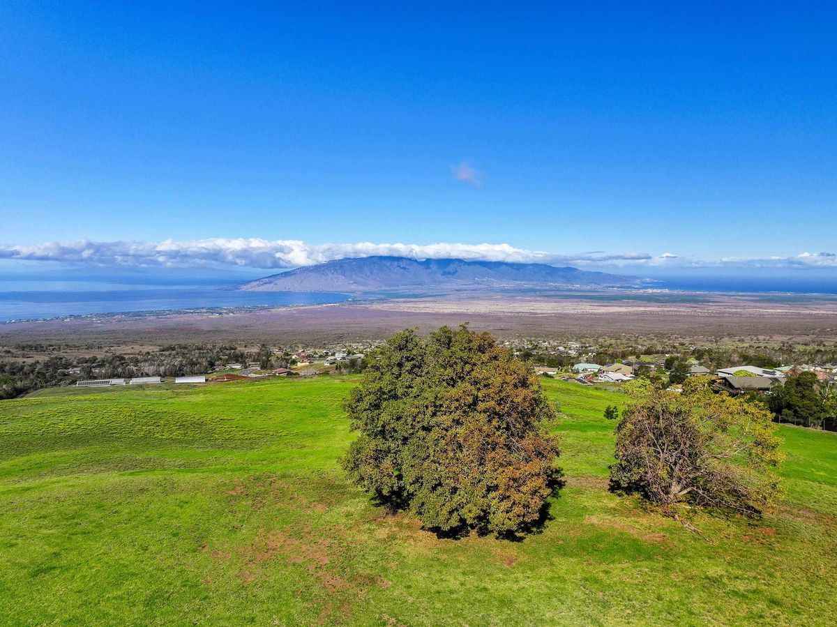 property-listing