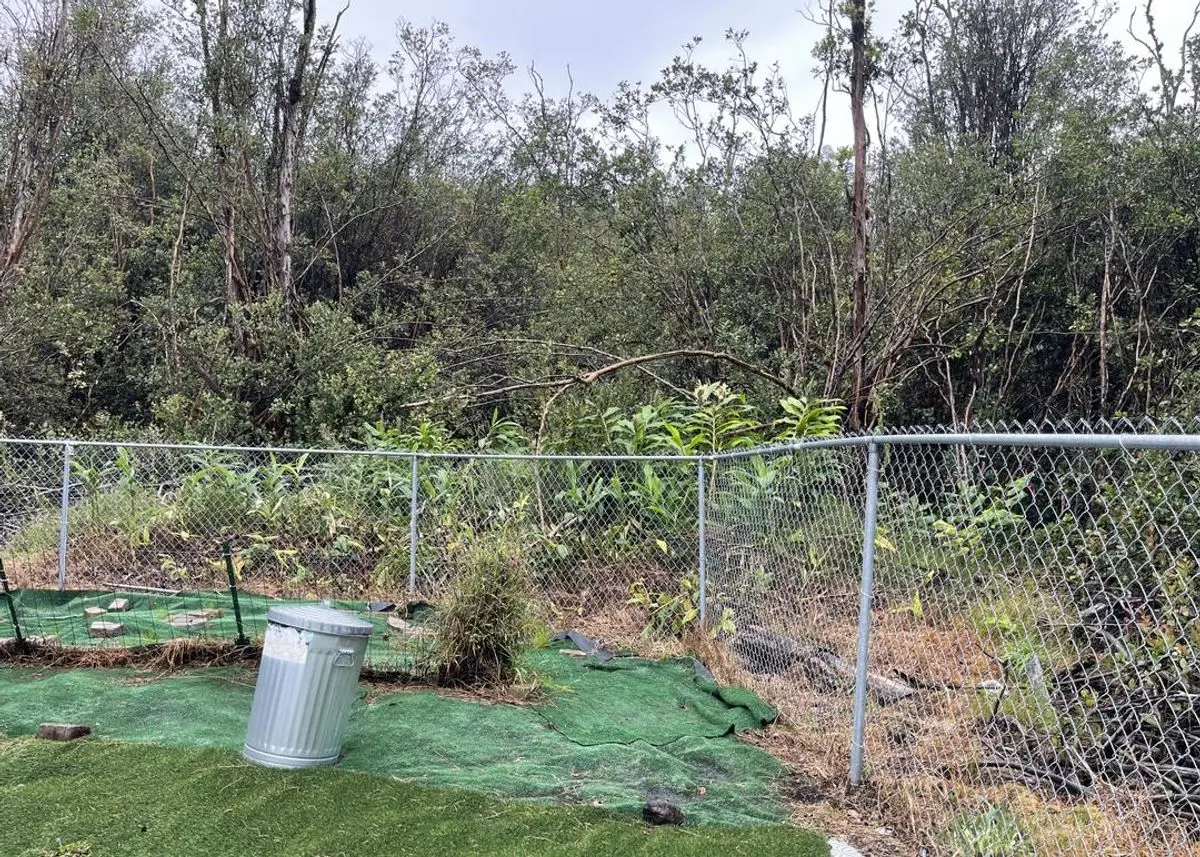 Photo 2 of green home in Mountain View, Hawaii
