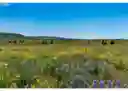 listing-thumbnails