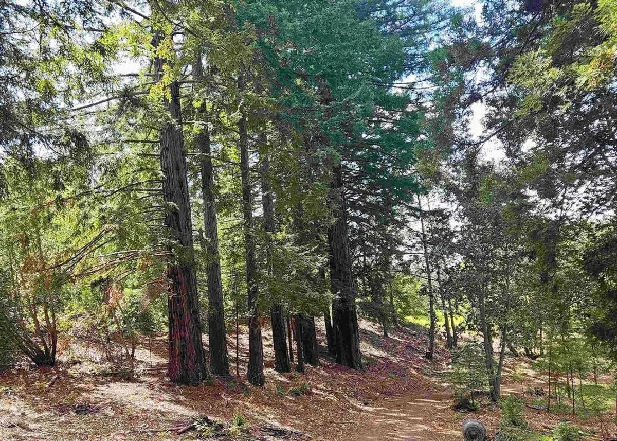 property-listing