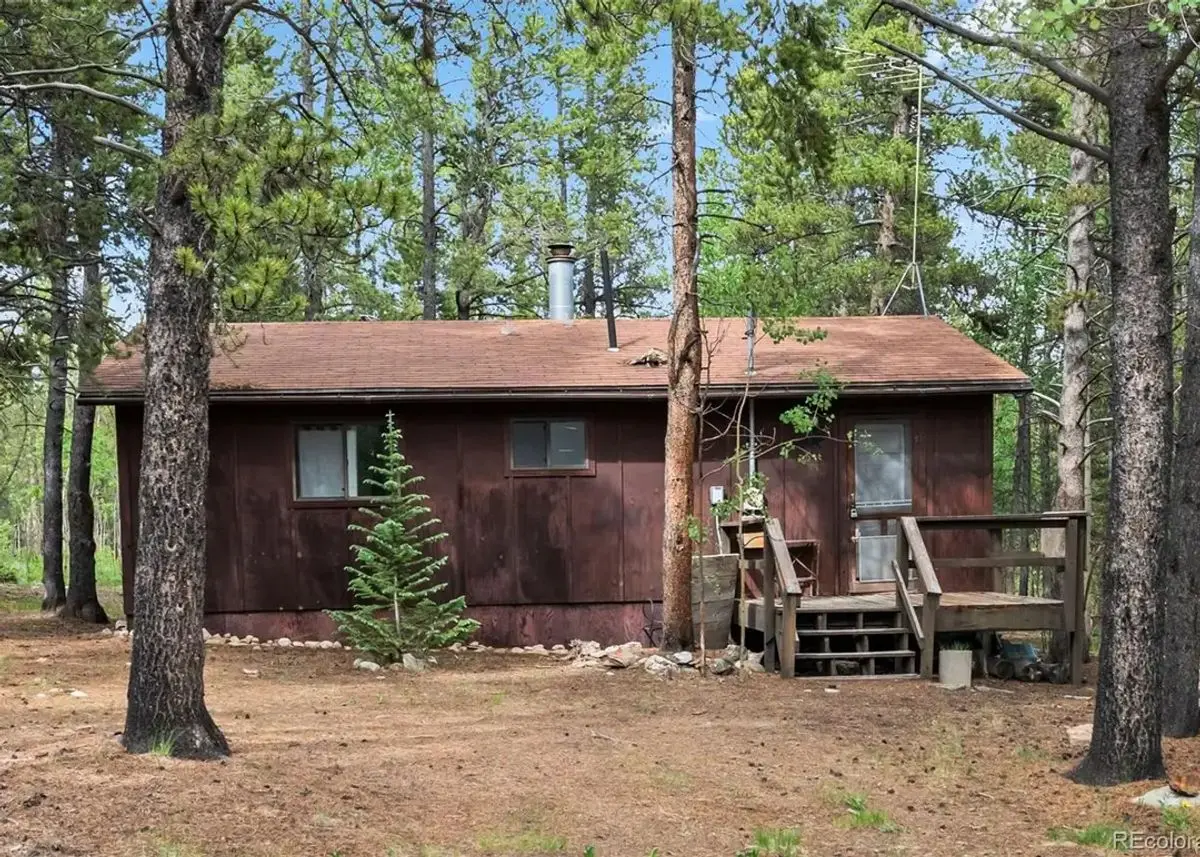 Green Homes for Sale - Fairplay, Colorado Green Home