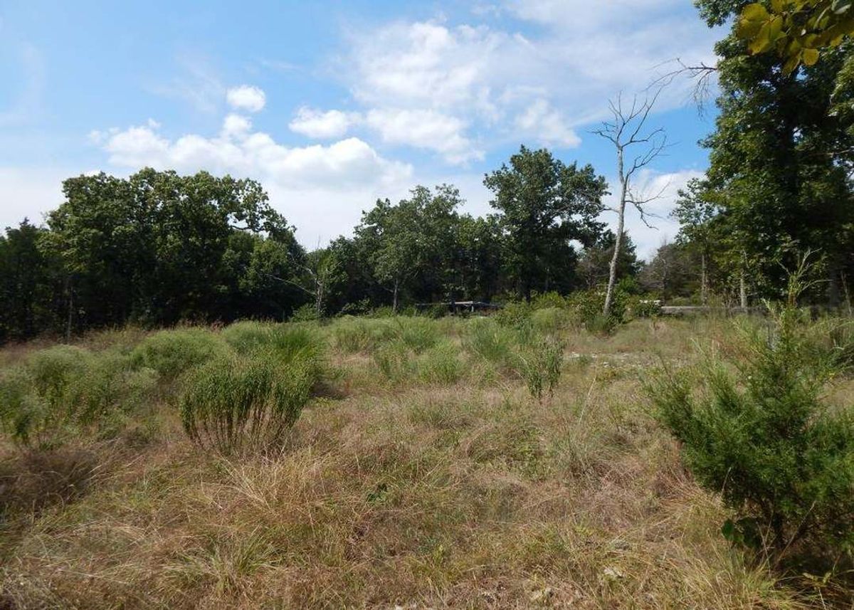 property-listing