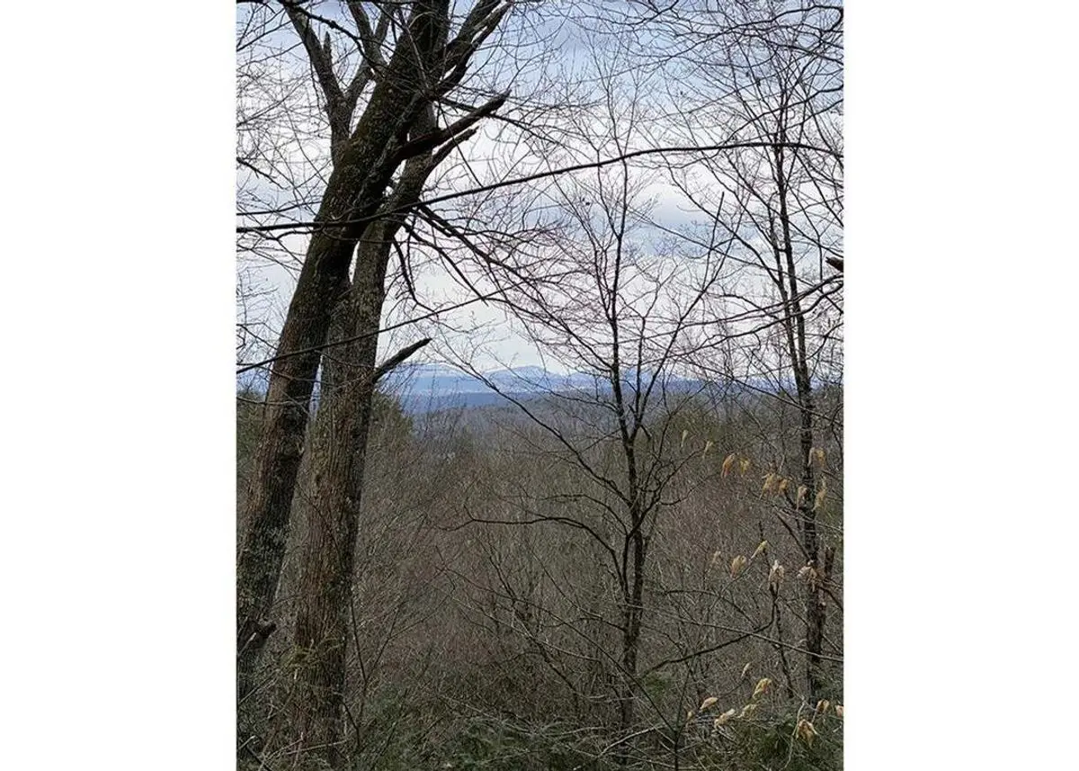 property-listing