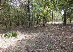 listing-thumbnails