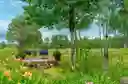listing-thumbnails