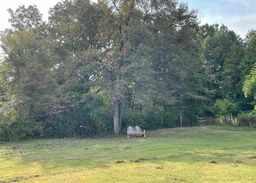 listing-thumbnails