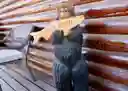 listing-thumbnails