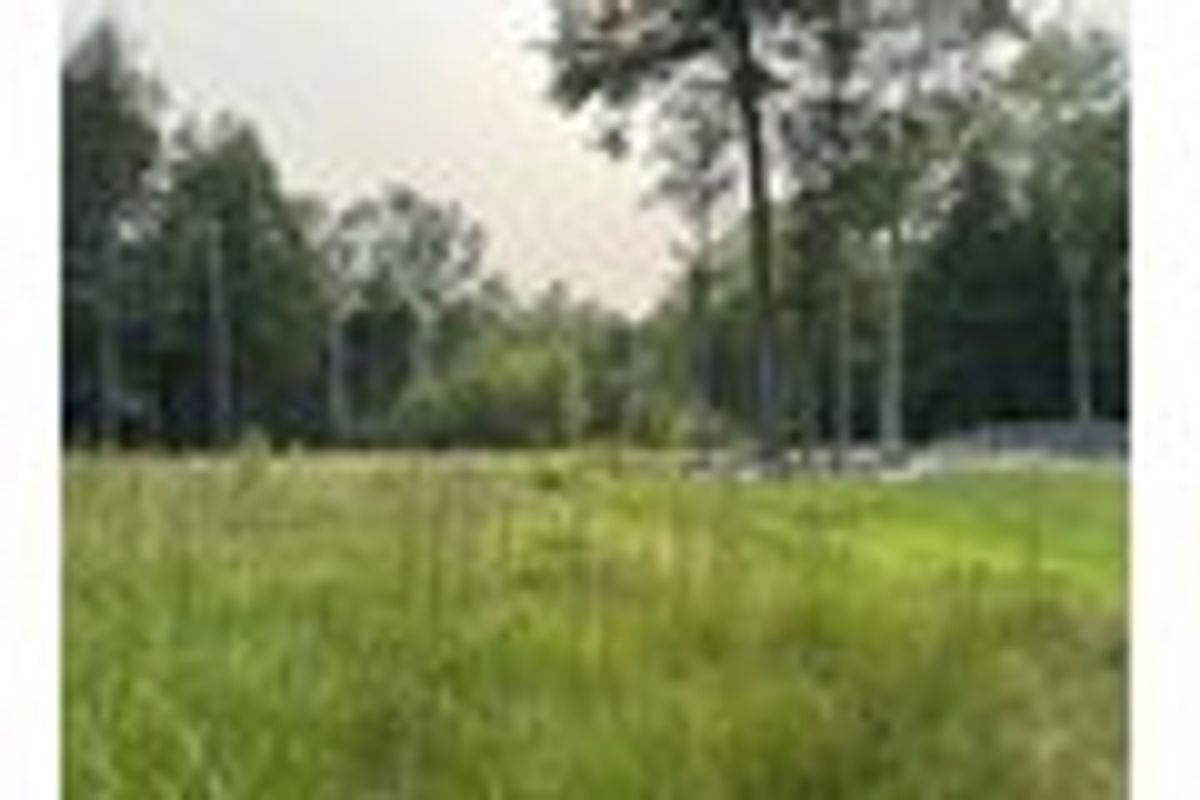 property-listing