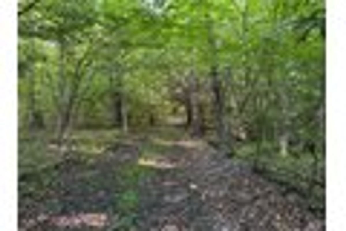 property-listing