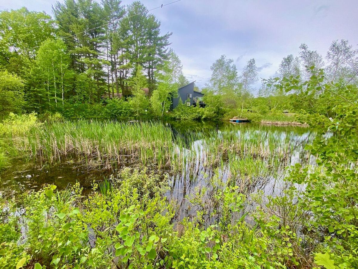 property-listing