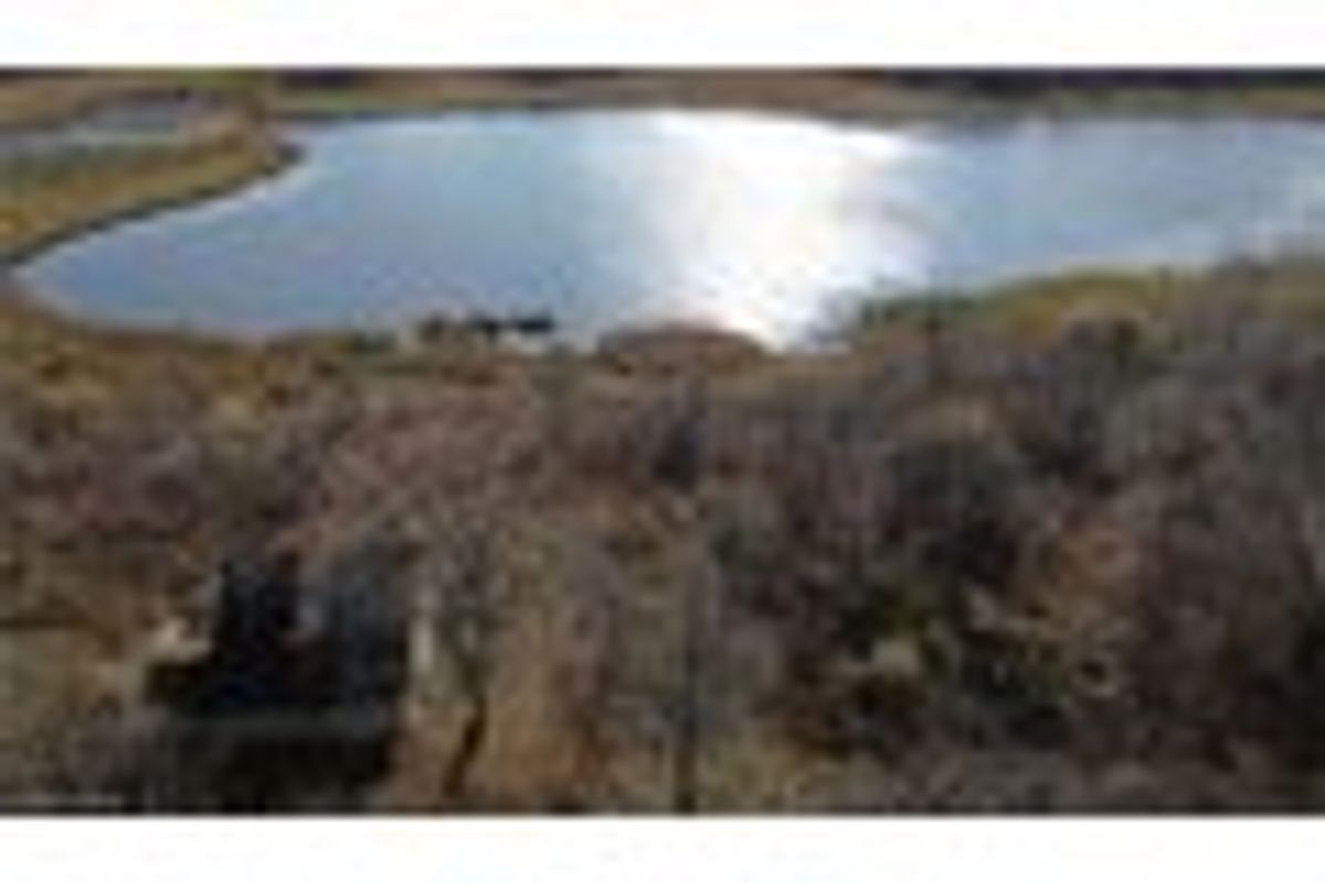 property-listing