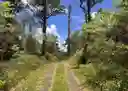 listing-thumbnails