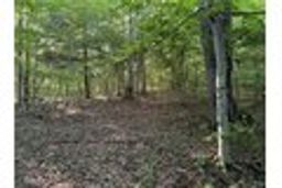 listing-thumbnails