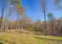 listing-thumbnails