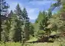 listing-thumbnails