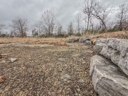 listing-thumbnails