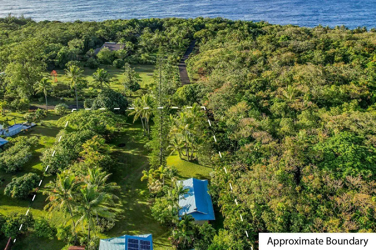 Green Homes for Sale - PAHOA, Hawaii Green Home