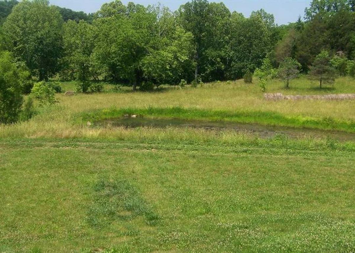 property-listing