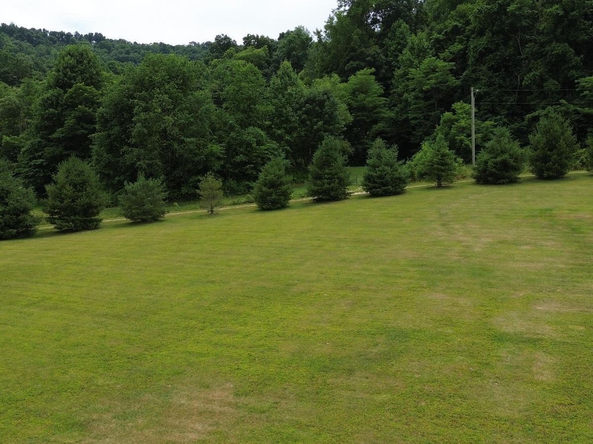 property-listing